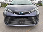 2024 Toyota Sienna LE AWD